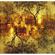 Lomography Lobster Redscale Negative: Picture 3 thumbnail