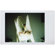 Lomography Lomo'Instant Automat: Picture 5 thumbnail