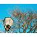 Lomography Color Transparency Film: Picture 1 thumbnail