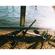 Lomography Color Transparency Film: Picture 2 thumbnail