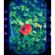 Lomography Smartphone Film Scanner: Picture 6 thumbnail