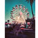 Lomography Simple Use: Picture 5 thumbnail