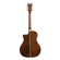 D'Angelico Guitars Premier Gramercy: Picture 3 thumbnail