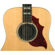 D'Addario Soundhole Plug: Picture 4 thumbnail