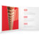 D'Addario Guitar Strings: Picture 4 thumbnail
