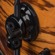 Ddrum Dios Exotic: Picture 6 thumbnail