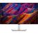 Dell U3223QE: Picture 1 thumbnail