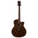 Dean Guitars AXS Exotic: Picture 1 thumbnail