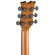 Dean Guitars AXS Prodigy: Picture 5 thumbnail