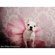 Denny Manufacturing 10x10' Annie Freedom Cloth Backdrop: Picture 5 thumbnail