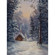 Denny Manufacturing 10'x20' Holiday Cott...: Picture 2 thumbnail