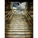 Denny Manufacturing 10'x20' Stadium Step...: Picture 2 thumbnail