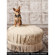 Denny Manufacturing 5x5' Cracked & Peeling Roll Up Floor Background: Picture 6 thumbnail