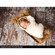 Denny Manufacturing 5x6' Cracked & Peeling Roll Up Floor Background: Picture 3 thumbnail