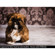 Denny Manufacturing 5x5' Whitewash Wood Roll Up Floor Background: Picture 6 thumbnail