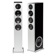 Definitive Technology Demand D15 Right: Picture 1 thumbnail