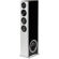 Definitive Technology Demand D15 Left: Picture 1 thumbnail