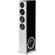 Definitive Technology Demand D15 Right: Picture 1 thumbnail