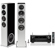 Definitive Technology Demand D15 Right: Picture 1 thumbnail