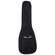 Dean Guitars Gig Bag: Picture 1 thumbnail