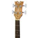 Dean Guitars Exotica Semi Acoustic: Picture 5 thumbnail