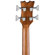 Dean Guitars Exotica Semi Acoustic: Picture 6 thumbnail