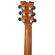 Dean Guitars Exhibition: Picture 5 thumbnail