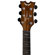 Dean Guitars Exhibition: Picture 6 thumbnail
