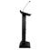 Denon Lectern Active: Picture 4 thumbnail