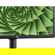 Dell E2423H: Picture 6 thumbnail