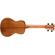 Dean Guitars Ukulele Concert: Picture 1 thumbnail