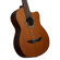 D'Angelico Guitars Premier Malta: Picture 2 thumbnail