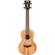 D'Angelico Guitars Bayside: Picture 4 thumbnail