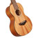 D'Angelico Guitars Bayside: Picture 2 thumbnail