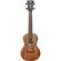 D'Angelico Guitars Bayside: Picture 4 thumbnail