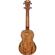 D'Angelico Guitars Bayside: Picture 1 thumbnail