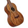 D'Angelico Guitars Bayside: Picture 2 thumbnail