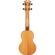 D'Angelico Guitars Montauk: Picture 1 thumbnail