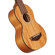 D'Angelico Guitars Montauk: Picture 2 thumbnail