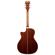 D'Angelico Guitars Premier Gramercy: Picture 1 thumbnail