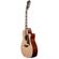 D'Angelico Guitars Premier Gramercy: Picture 4 thumbnail