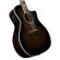 D'Angelico Guitars Premier Fulton: Picture 4 thumbnail