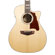 D'Angelico Guitars Premier Fulton: Picture 2 thumbnail