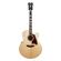 D'Angelico Guitars Premier Madison: Picture 5 thumbnail