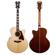 D'Angelico Guitars Premier Madison: Picture 4 thumbnail