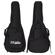 D'Angelico Guitars Premier EXL-1: Picture 5 thumbnail