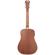 D'Angelico Guitars Premier Niagara: Picture 2 thumbnail