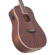 D'Angelico Guitars Premier Niagara: Picture 4 thumbnail