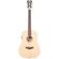 D'Angelico Guitars Premier Niagara: Picture 1 thumbnail