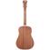 D'Angelico Guitars Premier Niagara: Picture 2 thumbnail